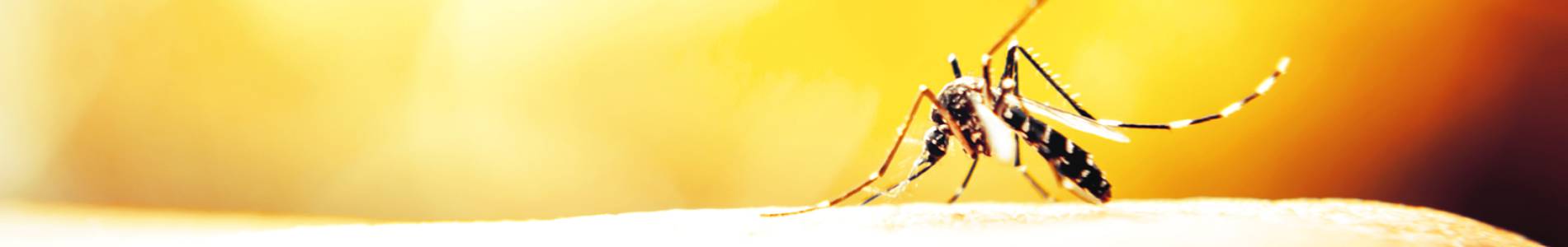 Pest Maintenance Home Page Banner