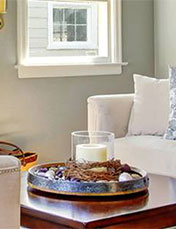 Pest Maintenance Residential Pest Services